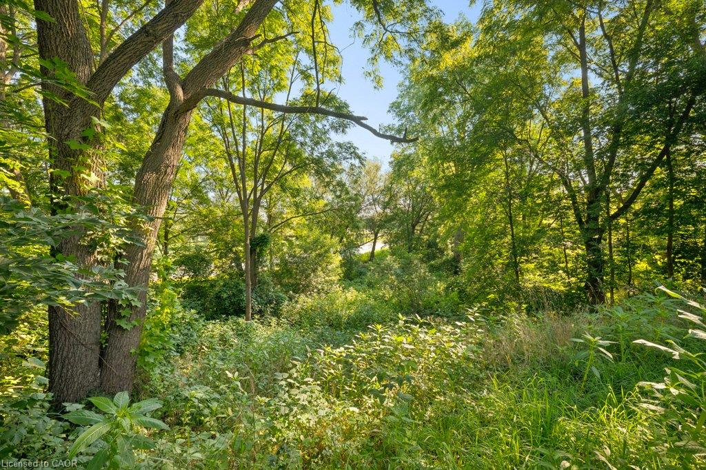 48 Misty River Drive Property Photo 36