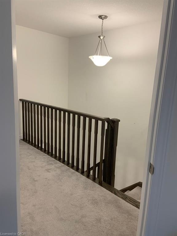 16 Dayman Drive Property Photo 20