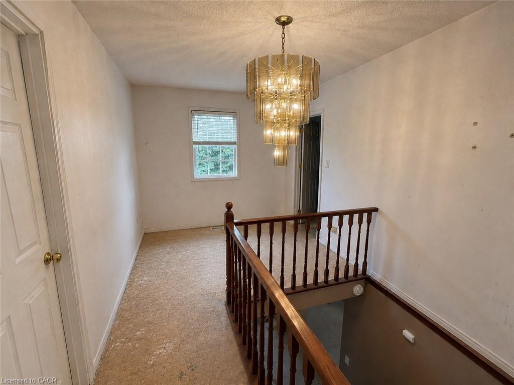 10 Jeanette Avenue Property Photo 13