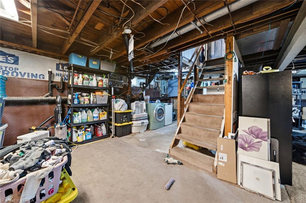 36 Walter Street Property Photo 22