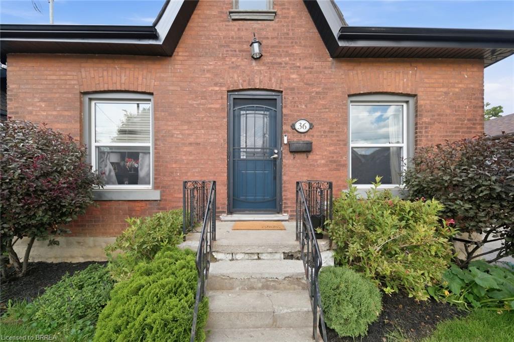 36 Walter Street Property Photo 30