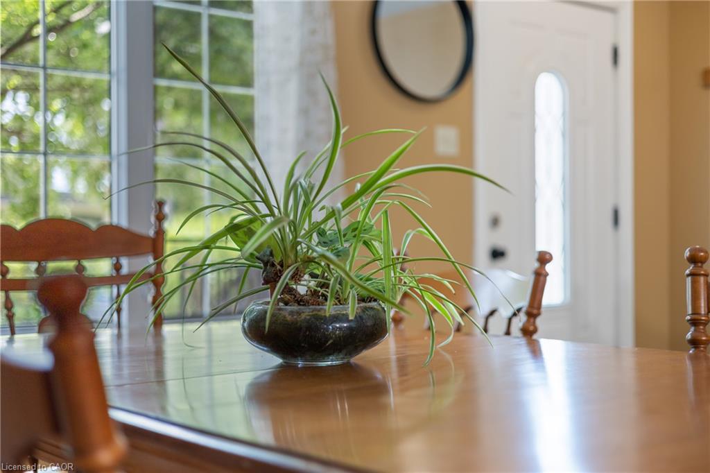 25 Saunby Street Property Photo 6