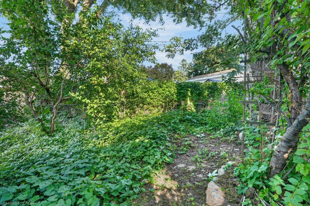 129 Scott Street Property Photo 28