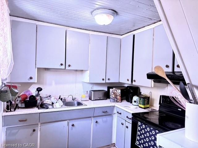441 Mud Street Property Photo 3