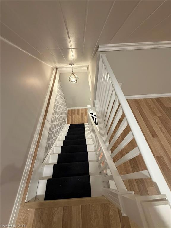 66 William Street Property Photo 18