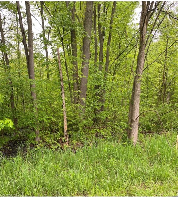 N/a Regional Rd 46 Road Property Photo 2