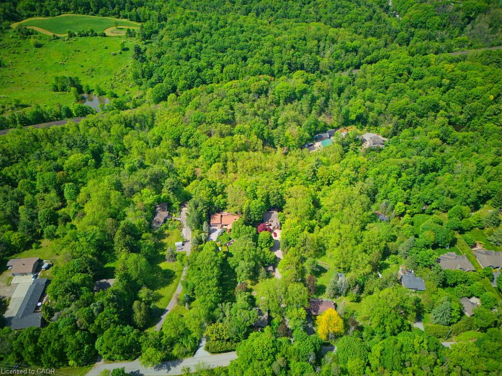 1131 Old Governor's Road Property Photo 44