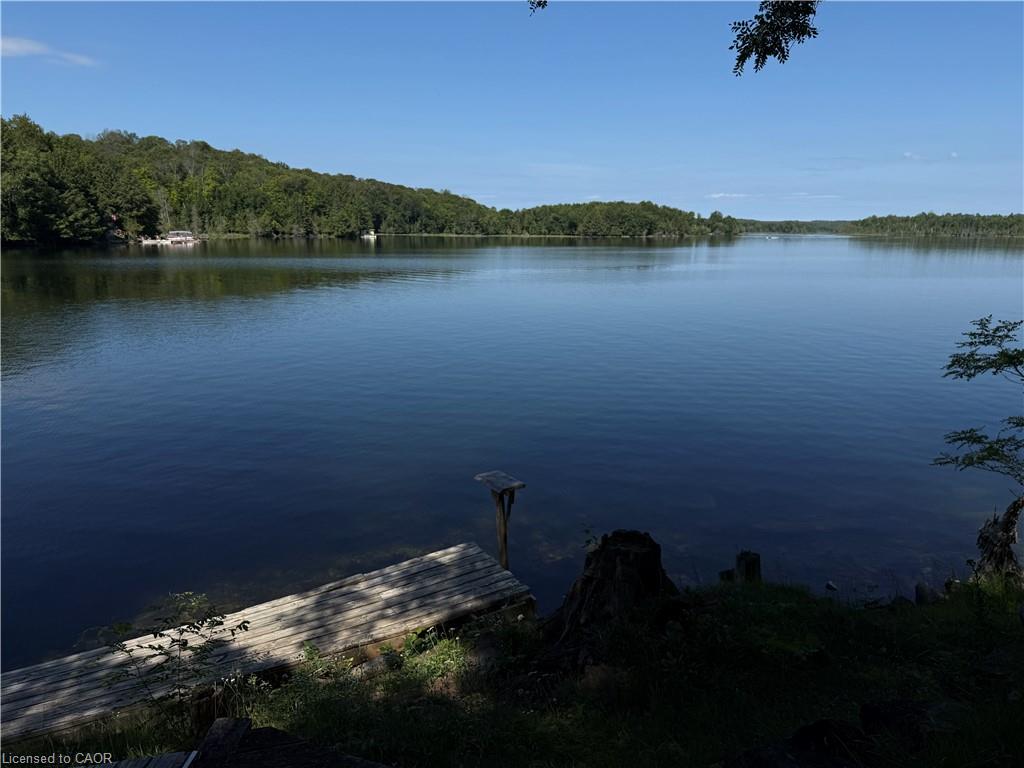 36 St Ola Lake Shore E Property Photo 1