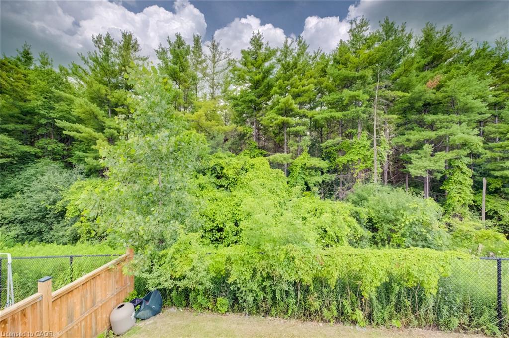 58 Marshall Drive Property Photo 32