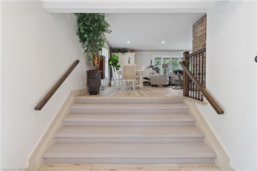 10 Stymie Boulevard Property Photo 23