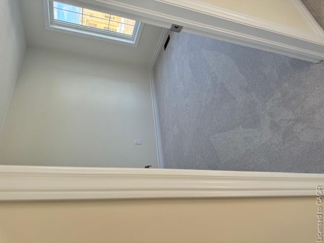 53 Conboy Drive Property Photo 18