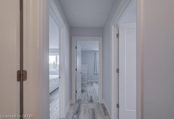 37 Wingfield Avenue Property Photo 16