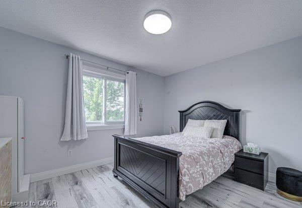 37 Wingfield Avenue Property Photo 19