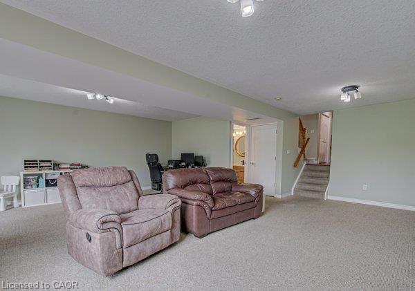 37 Wingfield Avenue Property Photo 25
