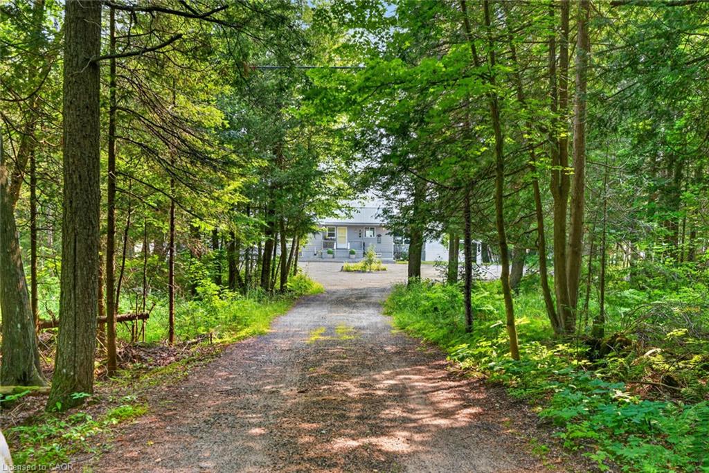 1331 High Rock Drive Property Photo 47