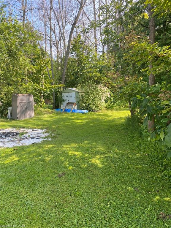 Lot 3 Snake Island Property Photo 15