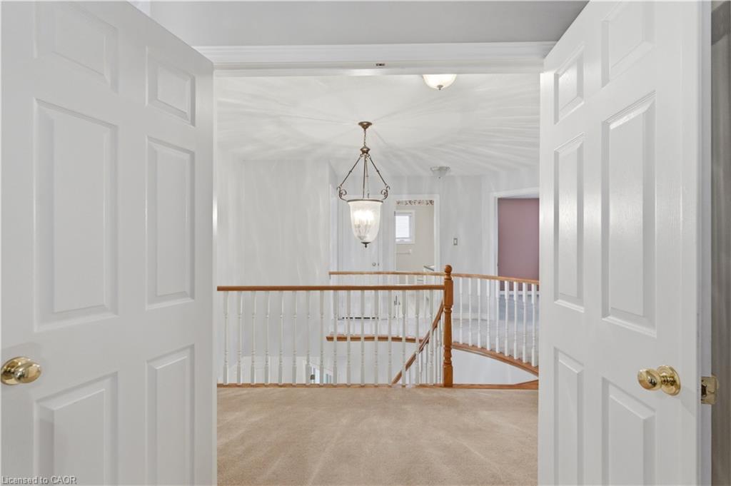 183 Daniels Street Property Photo 22