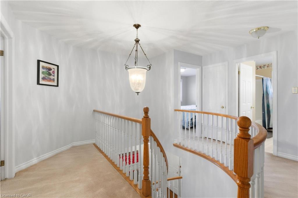 183 Daniels Street Property Photo 23