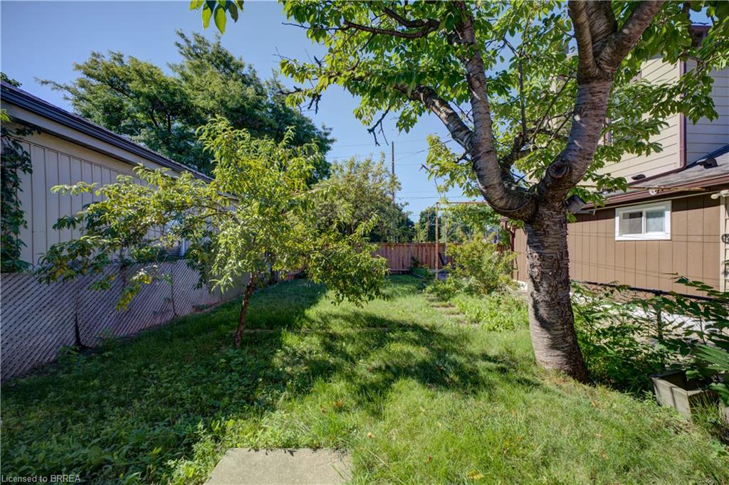 169 George Street Property Photo 38