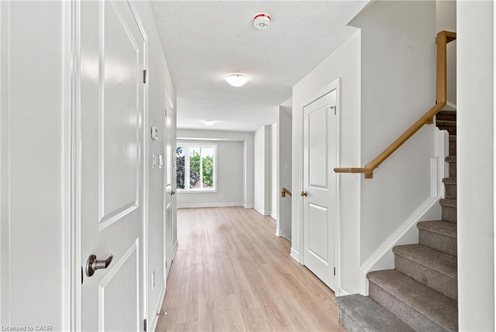 19a Bingham Road Property Photo 6