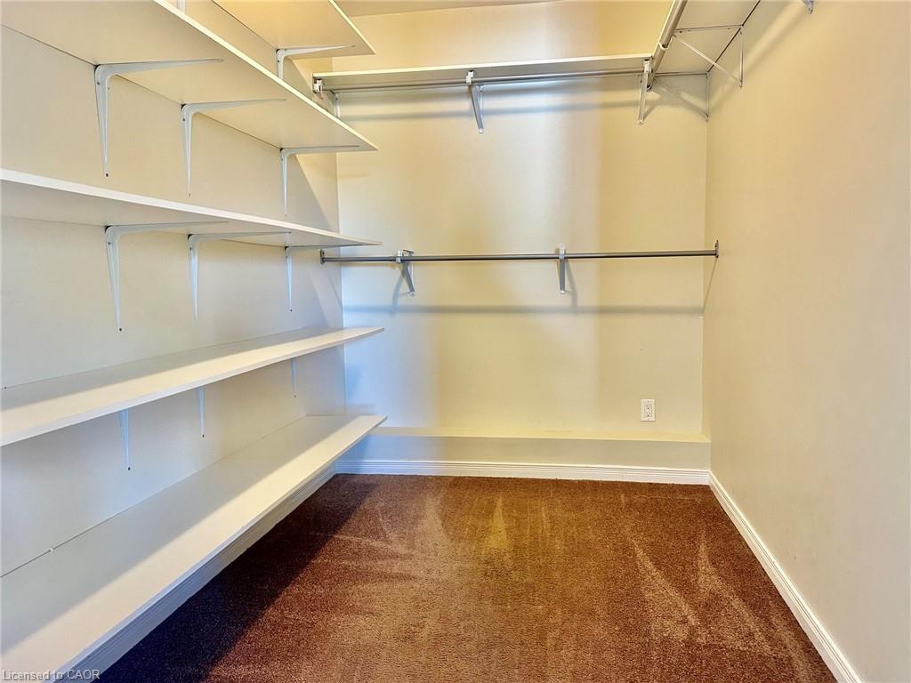 4 Palmer Street Property Photo 23