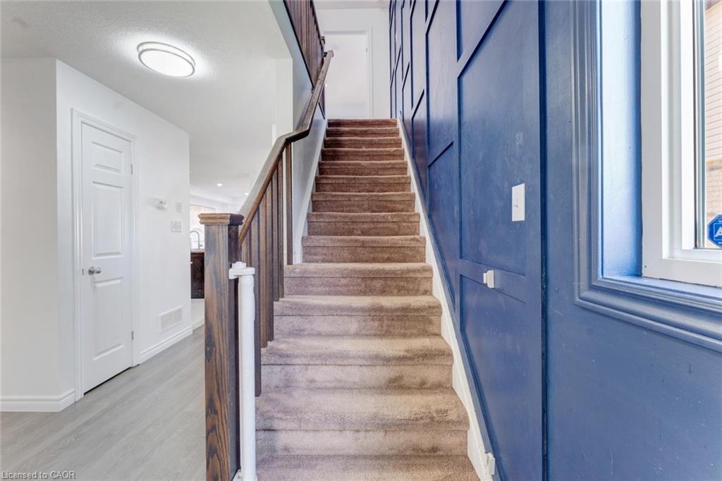 65 Renfrew Street Property Photo 17