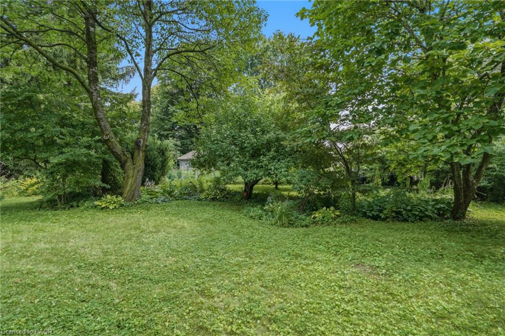 44 Mcdonald Court Property Photo 27