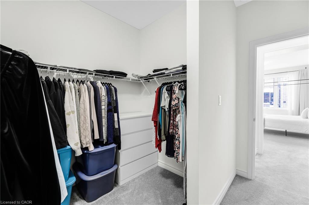 11 Harwood Street Property Photo 30