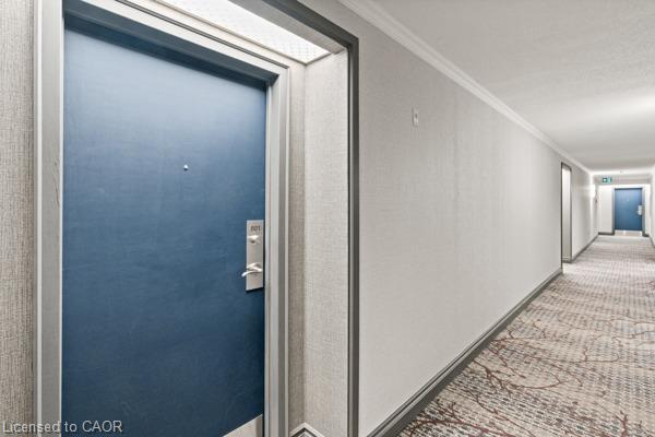 801-162 Martindale Road Property Photo 8