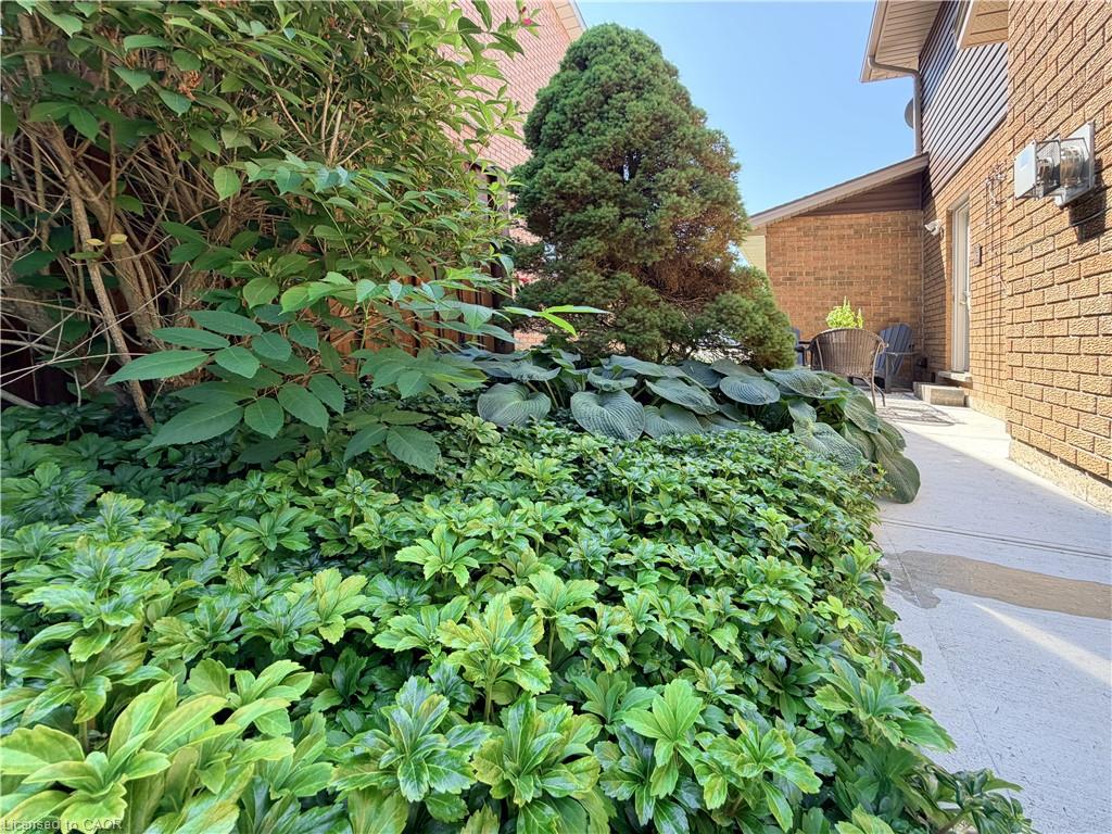7 Mann Avenue Property Photo 45