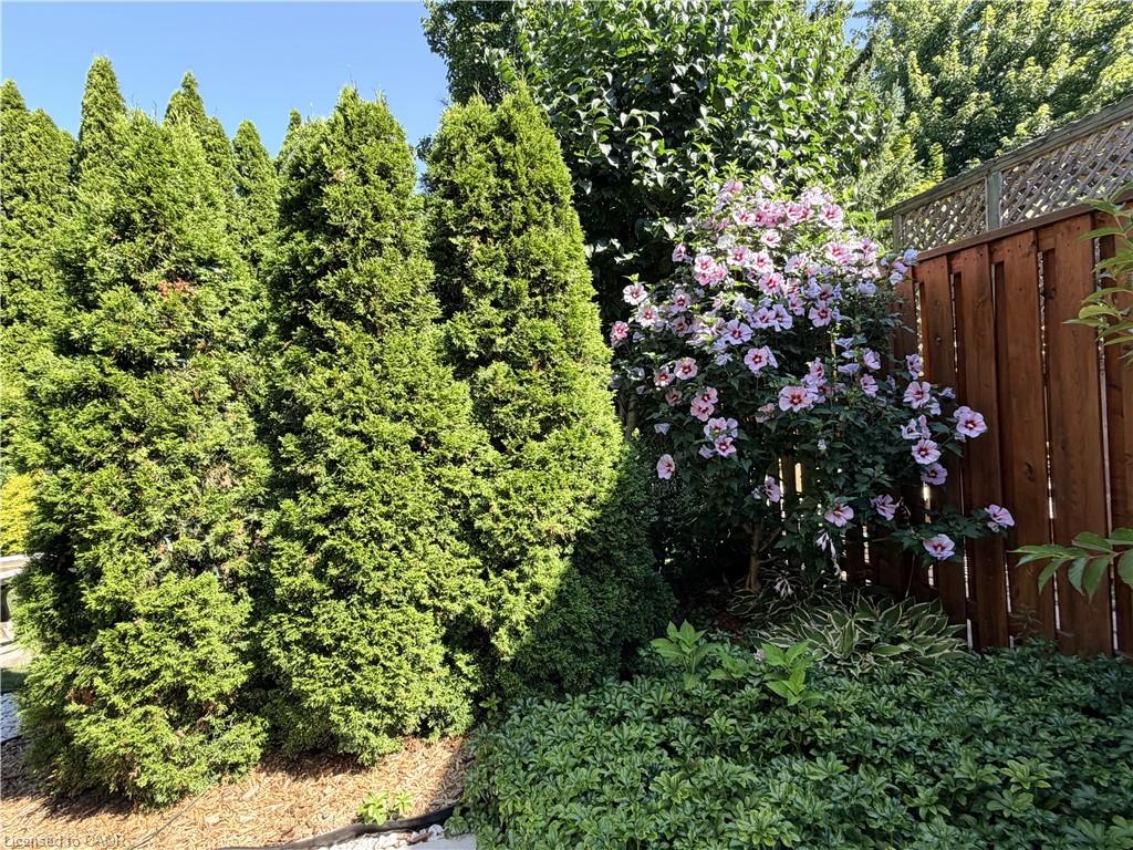 7 Mann Avenue Property Photo 46