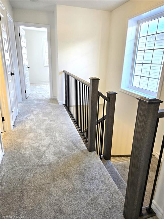 14 Elsegood Drive Property Photo 8