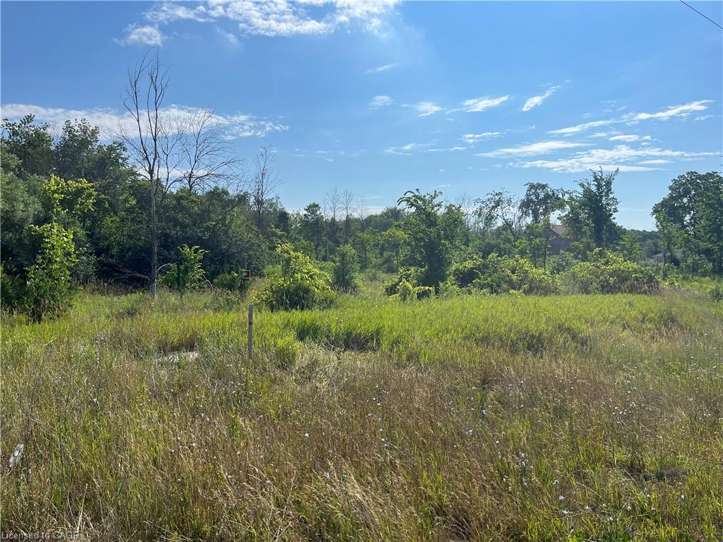 1276 #6 Highway Property Photo 1