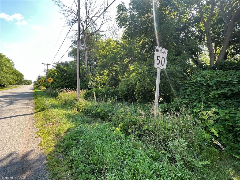 1276 #6 Highway Property Photo 4