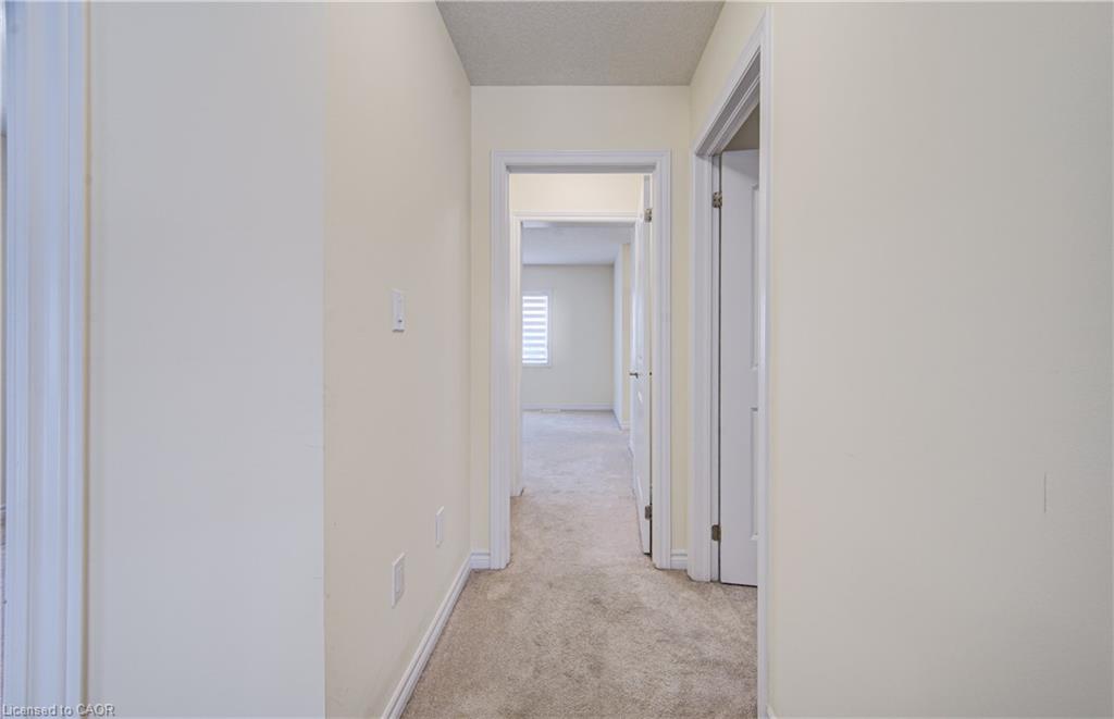 407 Dolman Street Property Photo 29