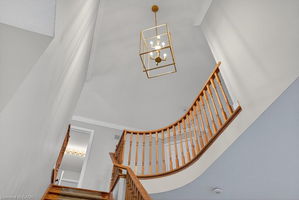 4-97 Sunvale Place Property Photo 25
