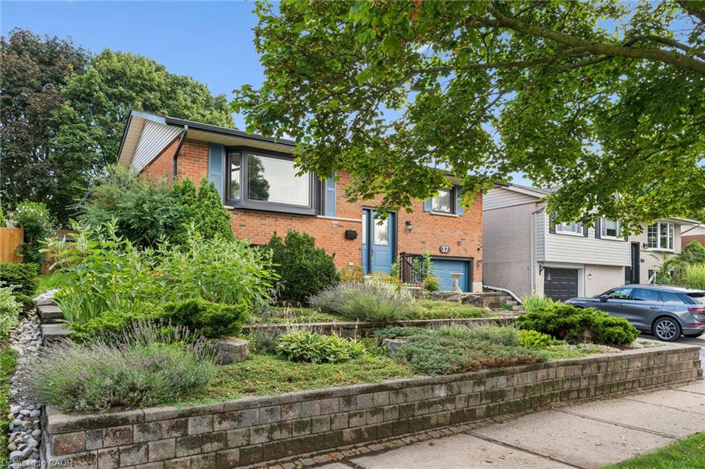 37 Dunsmere Drive Property Photo 3
