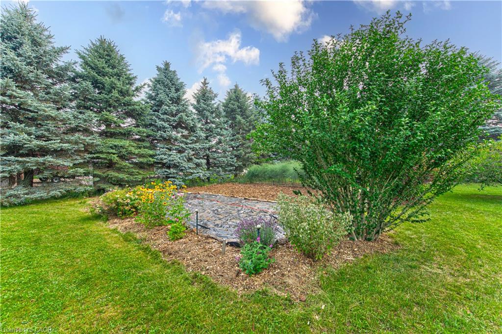 40 Peter Street Property Photo 45
