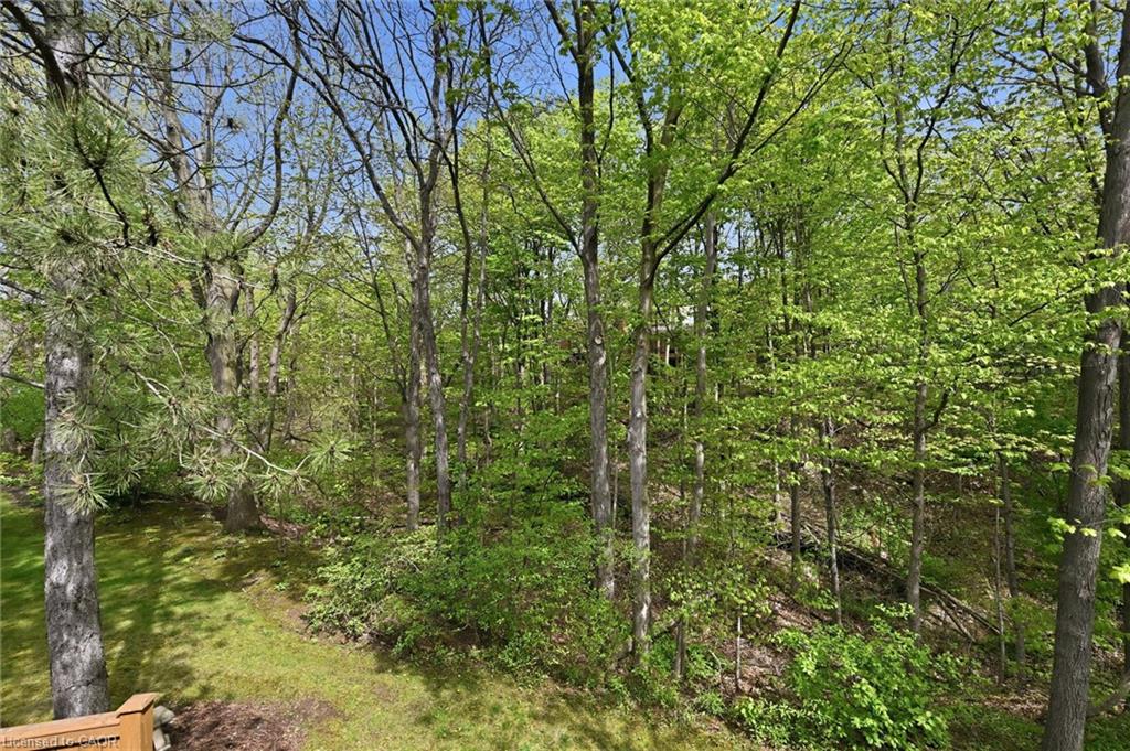 4-1095 Skyview Drive Property Photo 26