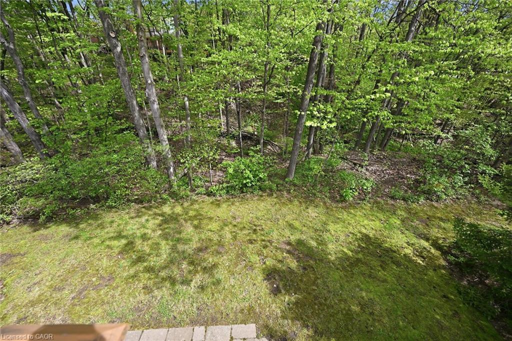4-1095 Skyview Drive Property Photo 27