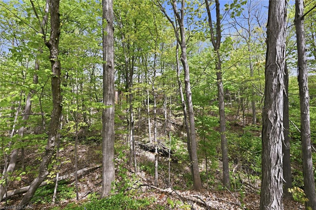 4-1095 Skyview Drive Property Photo 49