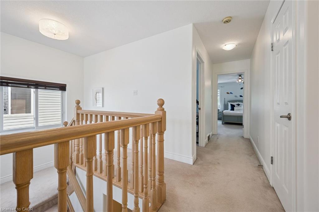 575 Violet Street Property Photo 19