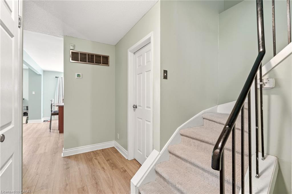 4 Eileen Street Property Photo 5