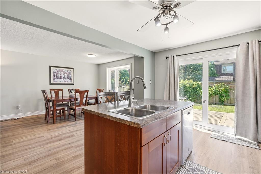 4 Eileen Street Property Photo 19