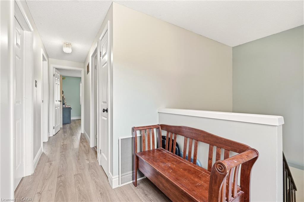 4 Eileen Street Property Photo 22