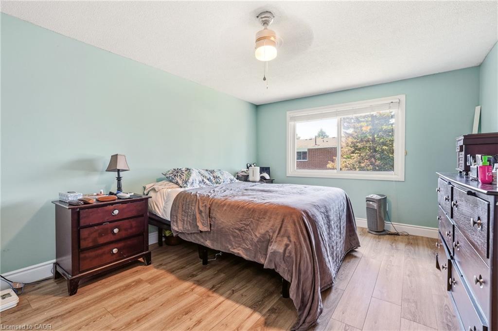 4 Eileen Street Property Photo 27