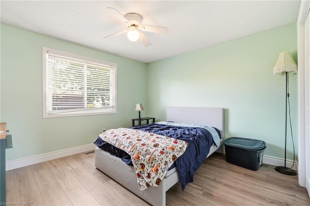 4 Eileen Street Property Photo 28