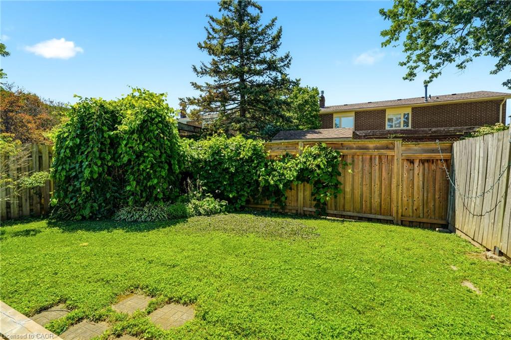 4 Eileen Street Property Photo 35
