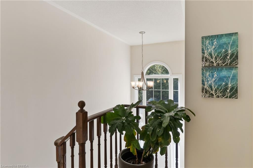 92-20 Mcconkey Crescent Property Photo 38