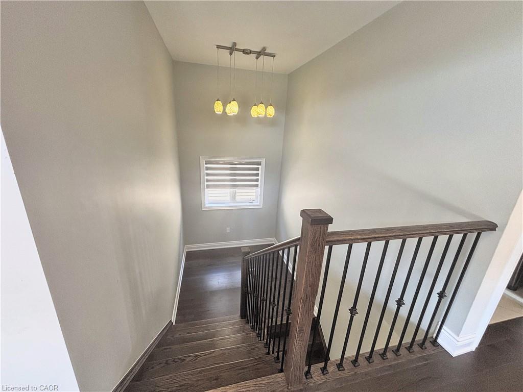 24 Mears Road Property Photo 24